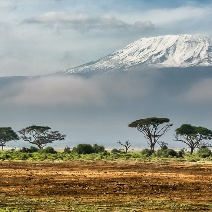 Wound Care in Kenya Info Session